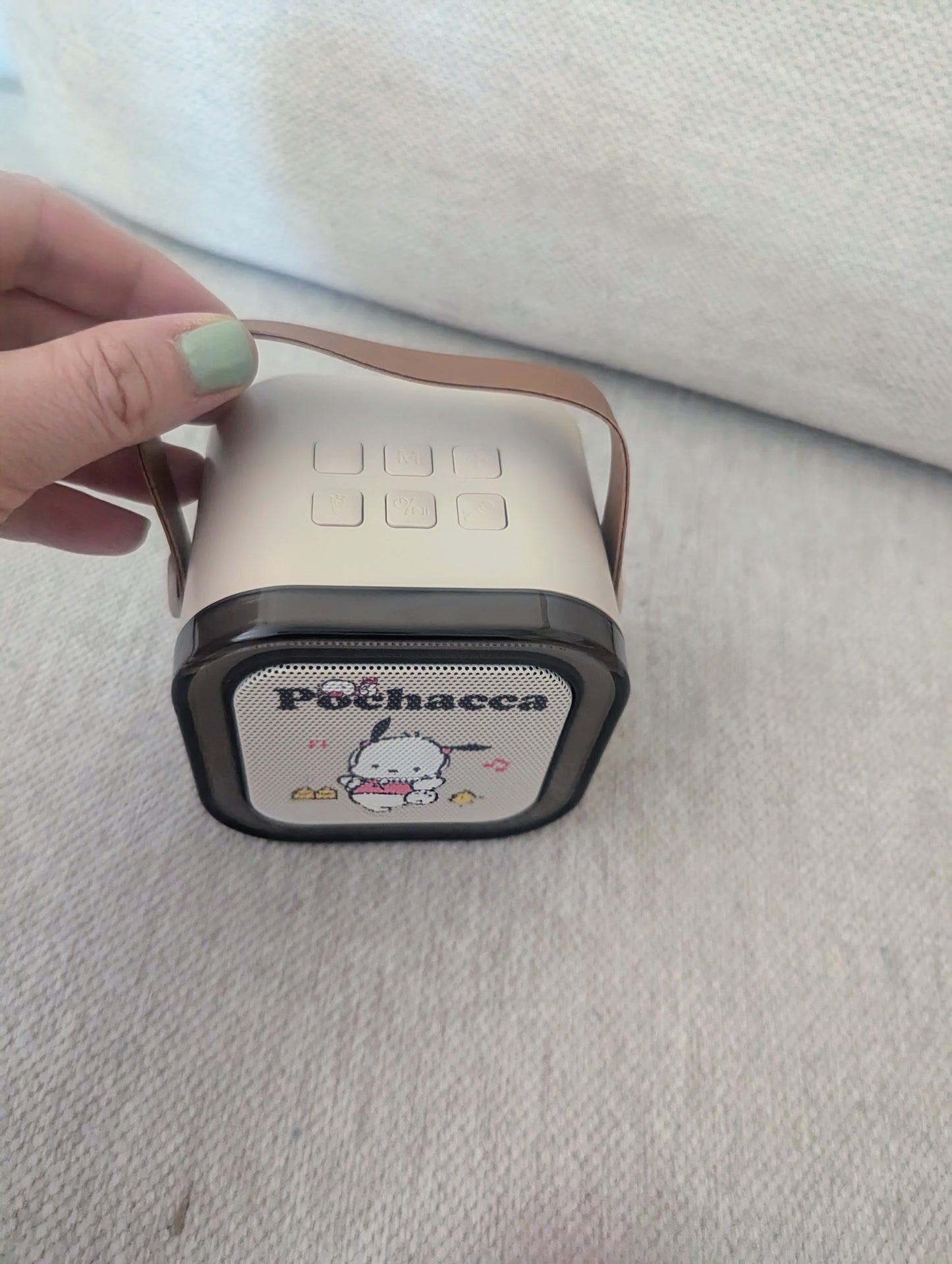 Pocha Speaker and Microphones